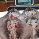 진도생선마을 이미지