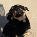 현순농장 이미지