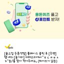 서울메이치과의원 이미지
