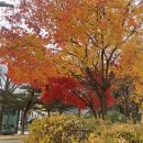 중평중학교 이미지