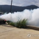 신지면사무소 이미지