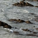 양우서점 이미지