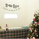 대구애견미용 강아지호텔 모여라솜뭉치 이미지