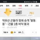 파리바게트갤러리아