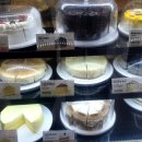 커피나무79 - 115507 | 커피나무79