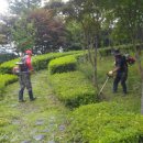 운암면방범대 이미지