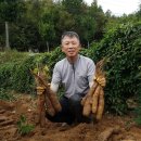 최용순농장 이미지