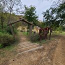 솔빛길유치원 이미지