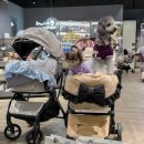 루이독 | [서울/송파] 루이독 롯데백화점 에비뉴엘 잠실점 애견동반 방문기