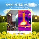 린나이김해대리점 | [거제 지세포 횟집] 내통 누수 해결! 린나이 전기 온수기 50L 교체 후기
