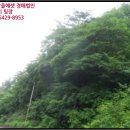 정선군보건소남면지소 네이버블로그