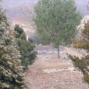 창촌마을회관 이미지