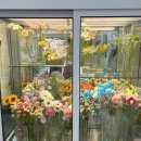 보문로즈 | [보문역] 트렌디한 꽃이 가득한 꽃집 디어로즈무드 컬러바스켓 원데이클래스 후기