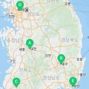 낭만펫 강아지분양 고양이분양 대전 본점 네이버블로그