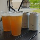 맛있는 논알콜맥주 제로슈가 논알콜 생활맥주 페어링 후기