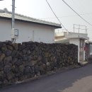 알로하스테이 이미지