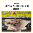 조은꽃 | 춘천꽃집 [ 춘천꽃도소매 조은생화 ] 방문후기