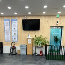 마이리틀프렌드 강남점 이미지