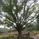 교학초등학교 이미지