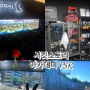 아카데미 소영 이미지