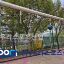 금오초등학교 이미지