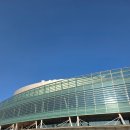 고양이집사 | “2025 일산 킨텍스 메가주 하반기” 고양이 집사의 후기