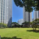 대연파크푸르지오부동산중개사무소 | 하늘에서 대연혁신 힐스테이트 푸르지오를 보다 – 굿대디와 김대박부동산의 입지·미래가치 정리