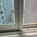 청소시대