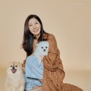 브라운랩 이미지