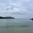 이사부사자공원(야외) | 삼척해상케이블카 ,이사부사자공원후기💙 주차·요금·애견동반 가능 여부 총정리💙