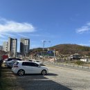 [경기광주 애견운동장, 애견카페] 위드댕댕이 첫 방문한 썰