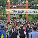 자연과  건강 이미지