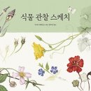 다육스케치