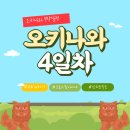 디럭스투어 주식회사 | 일본 오키나와 자유여행 정글리아 오키나와 ㅣ여행 4일차 - 크로스핏 드랍인, 메가 돈키호테, A&amp;W 버거...