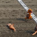 (주)티렉스 이미지