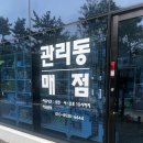 바다별키트 | [숯캠13회차] 거제 산달바다캠핑장 솔직후기 | 오션뷰+별오로라밤하늘+숯불마요꽃게 🔥🌊🦀