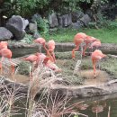 메릴랜드 동물원 (Maryland Zoo) 이미지