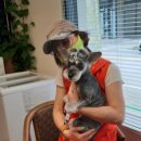 혜강병원 이미지