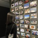 조삼모아 이미지