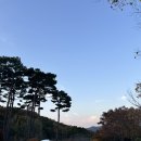 대한민국술테마박물관 | 대한민국 술테마박물관 후기🍶🍻 완주 전주 가볼만한곳,완주 전주 여행코스, 전주근교 여행코스 추천!