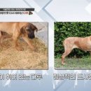 김요한농장 이미지