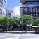 진지한커피 | [송도 카페] slow espresso bar | 슬로우 에스프레소 바 | 라테에 대한 아내의 진지한 후기