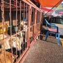 명기농장 이미지