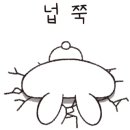 정브로