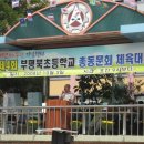 부평북초등학교 이미지
