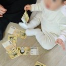 원정농장 | 나는 넓은 집에 살기 싫어요(26년 2월 하반)