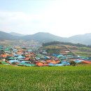 제176차 4월4일(토) 완도 청산도 슬로시티, 유채밭 트레킹,범바위,봄의 왈츠세트장(서편제) 및 보적산 산행 공지 이미지