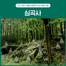 조선 15세기 석탑이 보존되어 있는 미륵산 사찰, 심곡사
