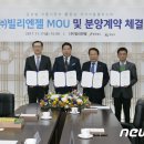 (주)엔젤식품