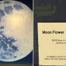 오엘와이 네이버블로그